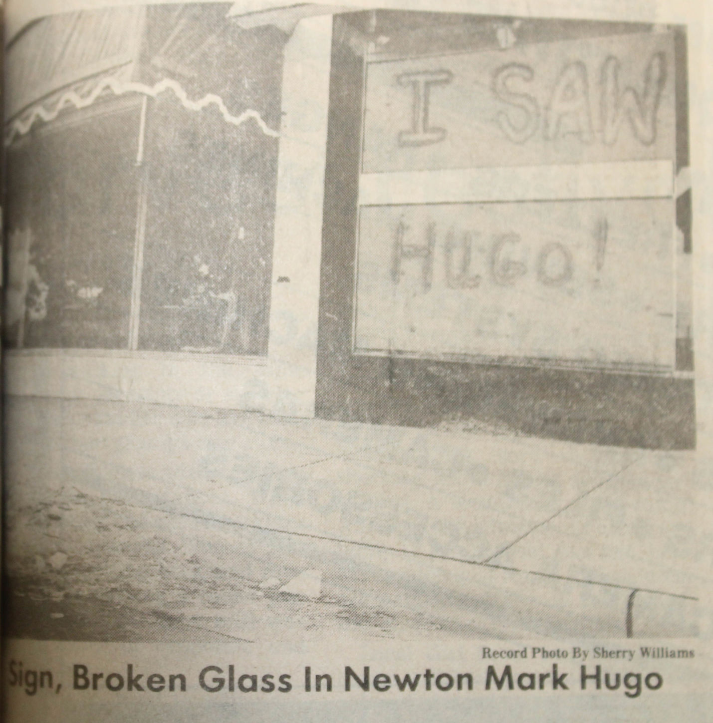 Hugo 15.JPG